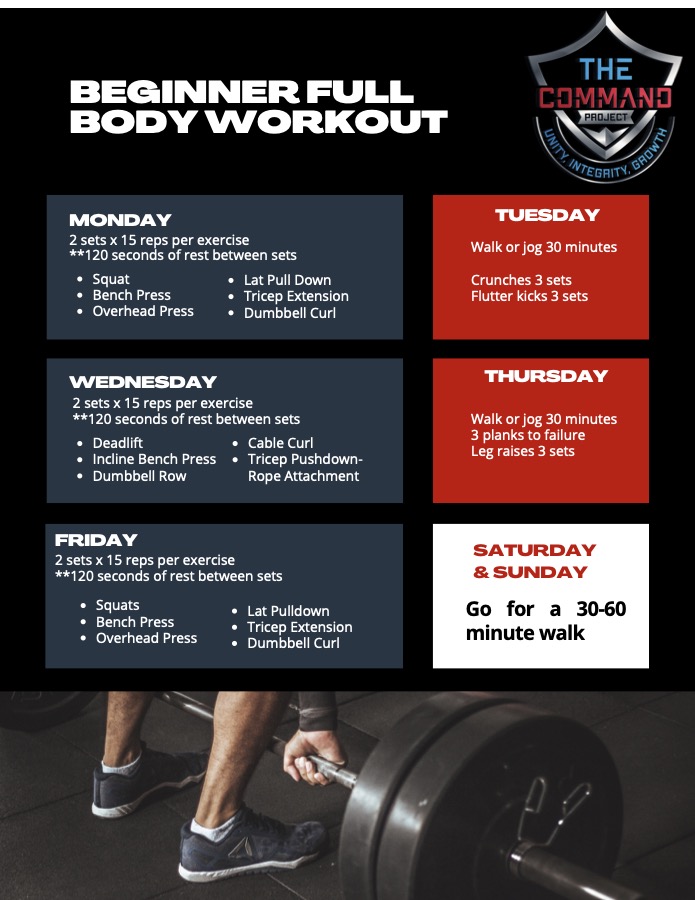 Beginner: Full Body card